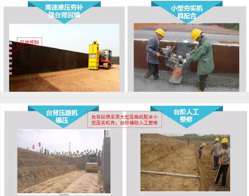 粮食丰收在望农民增收可期(图1)